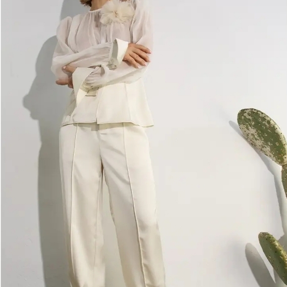 Sheer & Satin Elegant Pants and Blouse Set - Picture 6 of 7